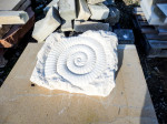Carved ammonite